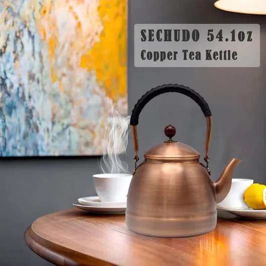 71AP2TQ17qL._AC_SL1500_