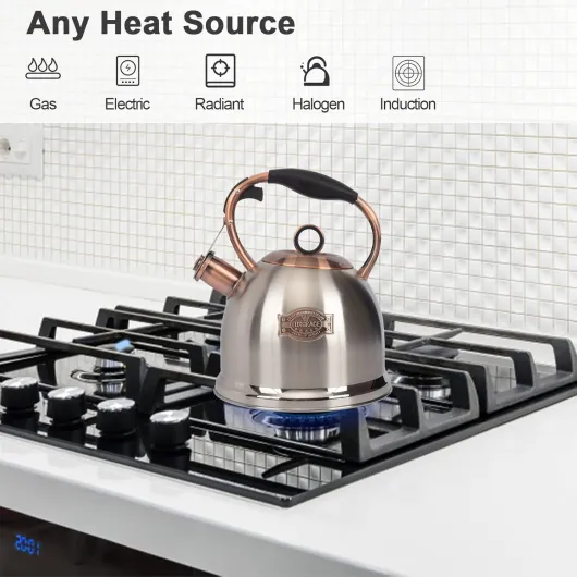 71lLRi1R77L._AC_SL1500_