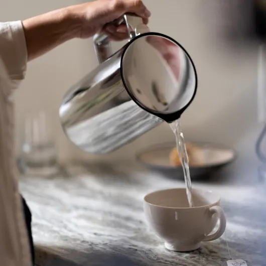 Kettle in Stainless Steel with Multiple Temperature Settings, 360° Swivel Base, Quiet Boiling and Non-drip Spout, Capacity of 1.2 Litre